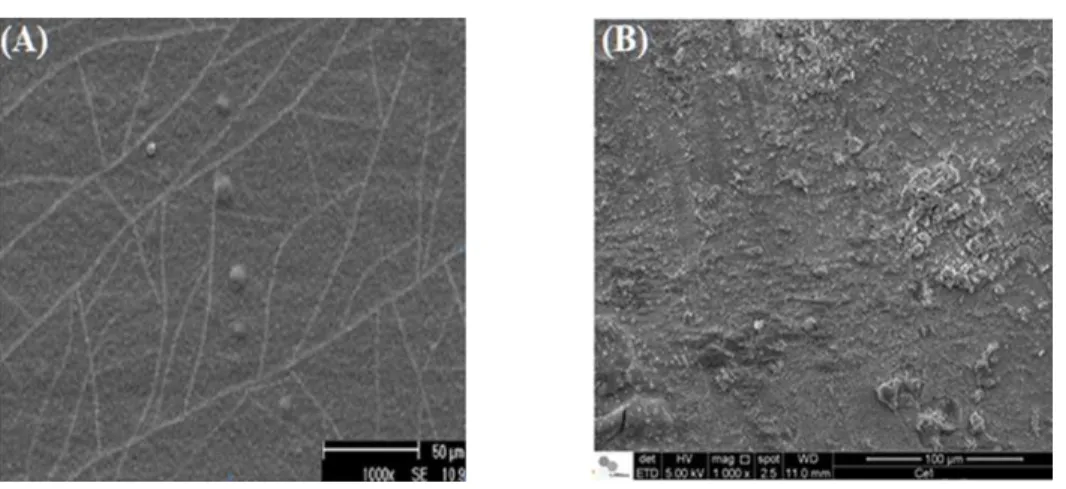 Figura  16:  Micrografias  obtidas  por  FEG  para  amostras  eletrozincadas:  (A)  com  camada de conversão de cromato e (B) após tratamento T1