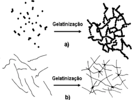 Figura 1 - Esquema ilustrativo de gelatinização para sistemas a) coloidais e b) poliméricos