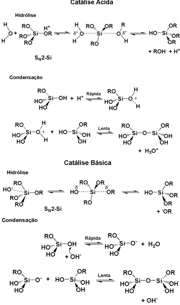 Figura  3  -  Mecanismos  propostos  para  as  reações  de  hidrólise  e  condensação  de  um  alcóxido  de  sílicio catalisada por ácidos e bases.