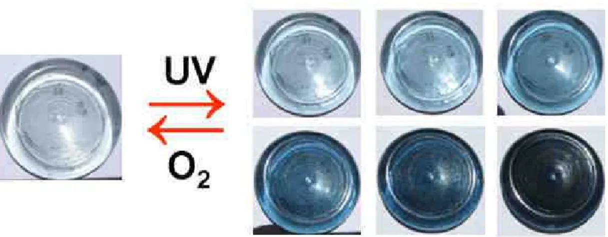 Figura 10 - Fotocromismo positivo de um material do tipo Ormosil-fosfotungstato exposto a radiação  UV do sol durante até 5 minutos (material preparado em nosso laboratório)