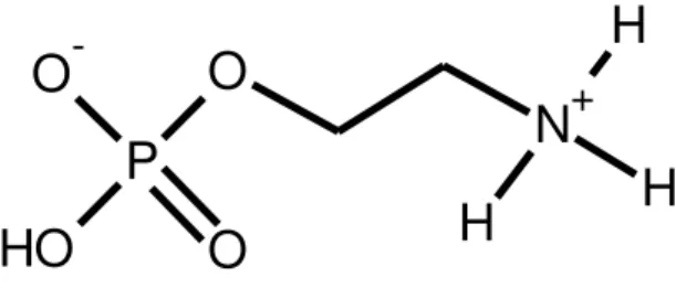 Figura 4. Estrutura química da fosfoetanolamina sintética 
