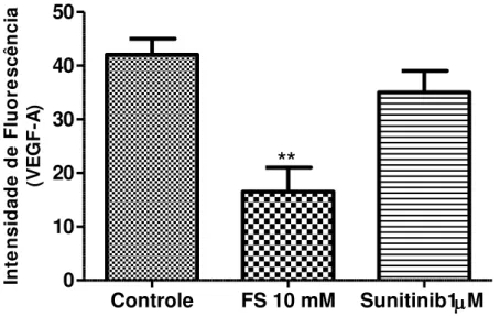 Figura 9. Modulação do receptor VEGF-A pela FS. As células HUVEC foram  tratadas  durante  12  horas  com  FS  na  concentração  de  10  mM  e  a  expressão  do  receptor avaliada por citometria de fluxo