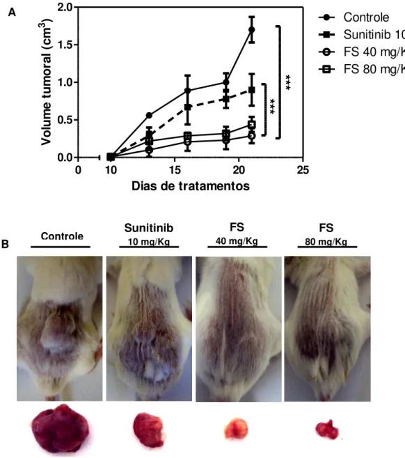 Figura  26.  Aspecto  macroscópico  e  análise  do  crescimento  dos  tumorais  do  carcinoma  renal  murino  RENCA  implantado  nos  animais  BALB/c
