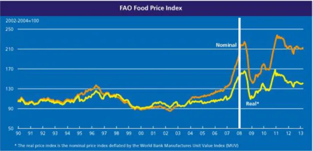 Figura 17 - Gráfico da evolução do índice de preços de produtos alimentares, de acordo com a FAO 
