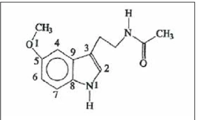 Fig. 4: Molécula de Melatonina 