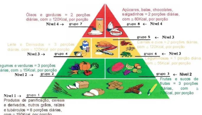 Figura  1  - Pirâmide  Alimentar  com  nlVelS,  grupos,  porções  diárias  e  participação calórica,  adaptada do MINISTÉRO DA SAÚDE, 2001  e BRASIL,  2001b 