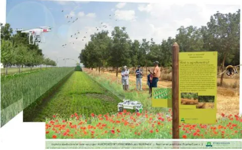 Figure  1:  Agroforestry  future  vision  featuring  production,  ecology,  modern  technology  and  education