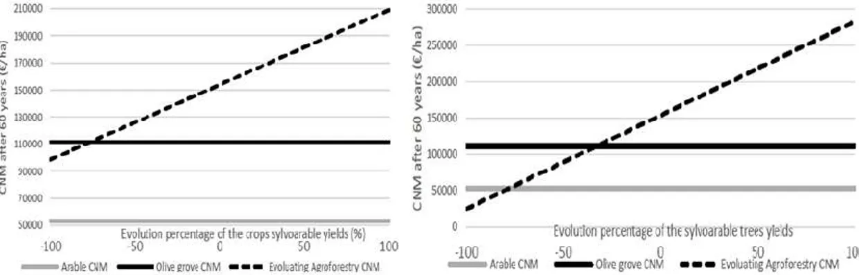 Figure  2:  Sensitivity  of  the  cumulative  net  margin  of  the  arable,  silvoarable  (Scenario  1),  and  olive tree only systems after 60 years to a) arable crop yields, and b) olive yields