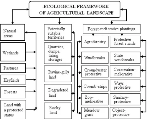 Figure 1: Scheme of the ecological framework of agro-landscape. 