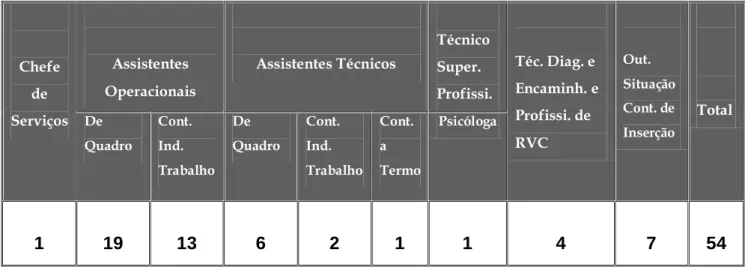 Tabela 2 – Distribuição do corpo não docente por categoria profissional e vínculo contratual