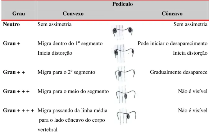 TABELA 2  - Determinação da rotação vertebral pelo método NASH &amp; MOE. 