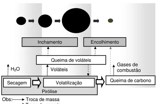 Figura 3.4: Principais etapas da queima da gota de licor preto com representação  da variação do seu tamanho