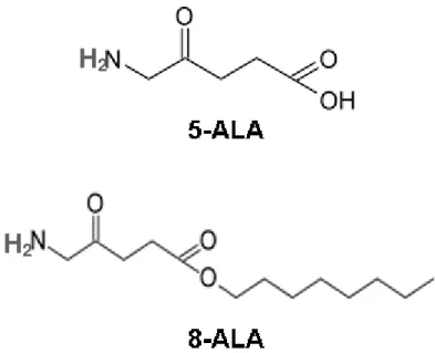 Figura 4: Fórmulas estruturais dos pró-fármacos. 