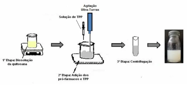 Figura 9: Esquema de preparação das nanopartículas de quitosana 