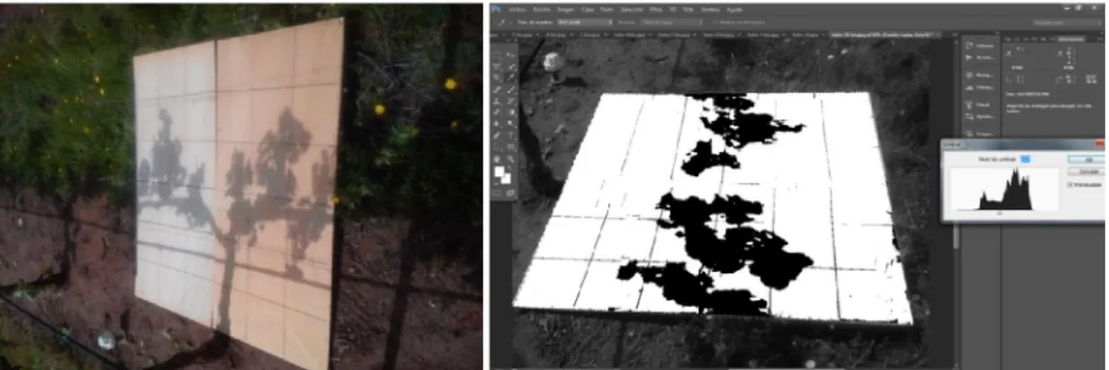 Figure  11(left):  projection  of  the  canopy  shade  on  a  wood  board  (shaded  soil  area  example  picture)  .Figure  12(right):  Photoshop  image  edition  applying  different  filters  to  estimate  shaded area 