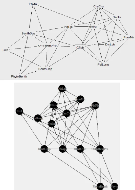 Figure 1.3. and Figure 1.4. Examples of representations of a simplified real food web: Seine Estuary food web