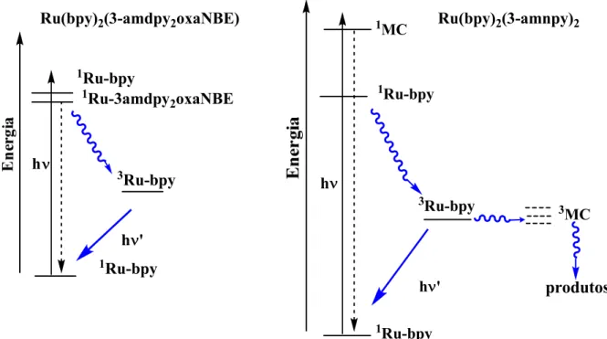 Figura  5  -  Esquema  do  diagrama  de  energia  do  estado  excitado  do  complexo  cis- cis-[Ru(bpy) 2 ((3amdpy) 2 oxaNBE)] 2+   e cis-[Ru(bpy) 2 (3amnpy) 2 ] 2+ 