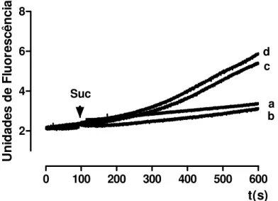 Figura 7. Efeito da fração peptídica (p.V) do veneno da B. atrox sobre a produção de H 2 O 2