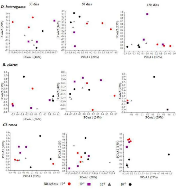 Figura  4  -  Análise  de  coordenadas  principais  (PCoA)  com  a  organização  da  comunidade  bacteriana em  função das diluições da comunidade microbiana  (10 -1 , 10 -3 , 10 -6  e  10 -9 ) para cada FMA inoculado (D