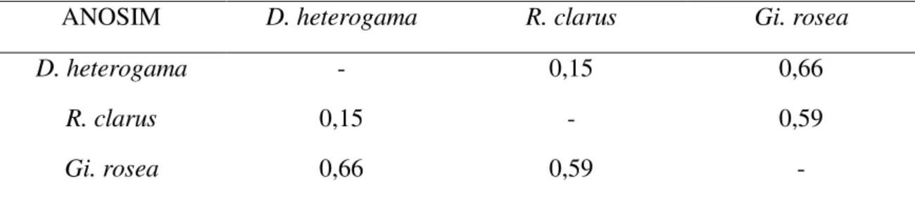 Tabela  4  -  Valores  de  R,  obtidos  pela  análise  de  similaridade  (ANOSIM),  onde  foram  comparados os perfis das áreas dos picos de fragmentos terminais do gene ITS  de solo, gerados pela inoculação de espécies de FMAs associados às diferentes  co