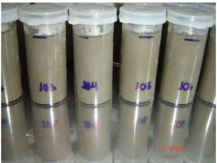 FIGURA 6 - Corpos de prova cilíndricos em moldes de plásticos 