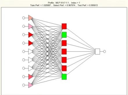 Figure 4. Physical Model of the Current Study [authors]. 