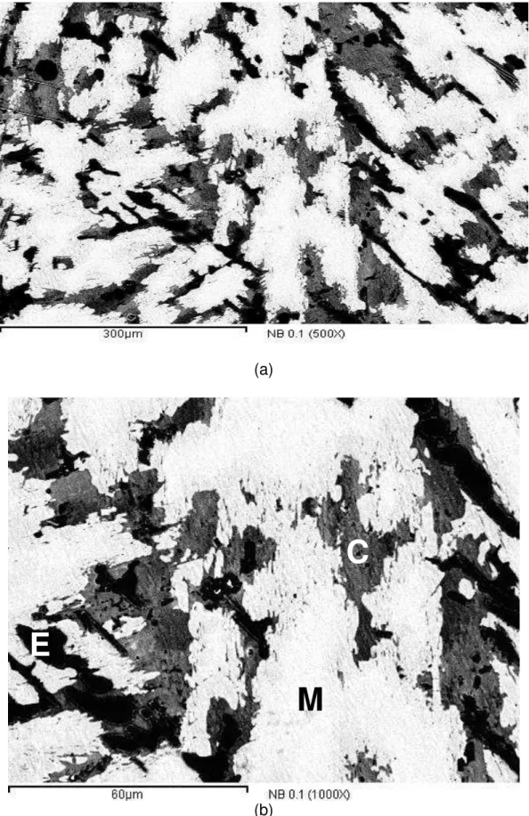 FIGURA  26  –   Micrografias  da  liga  La 0,7 Mg 0,3 Al 0,3 Mn 0,4 Co 0,4 Nb 0,1 Ni 3,8 ;  onde: (a)  visão geral (500x) e (b) detalhada (1000x)