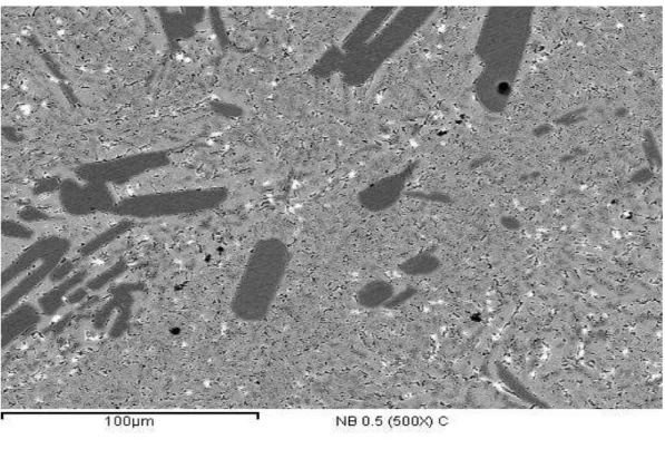 FIGURA 30  –  Micrografias da liga La 0,7 Mg 0,3 Al 0,3 Mn 0,4 Nb 0,5 Ni 3,8 ; onde: (a) visão  geral (500x) e (b) detalhada (1000x)