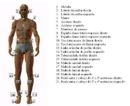 Figura 3: Pontos anatômicos marcados na avaliação postural em vista anterior. Figura  adaptada do modelo utilizado no SAPO
