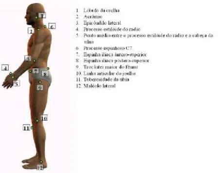 Figura 6: Pontos anatômicos marcados na avaliação postural em vista lateral esquerda. 