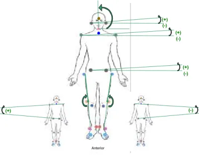 Figura 8: Ângulos avaliados na vista anterior.Ilustração realizada para este estudo a partir  do desenho da figura humana de OKAI (1998)