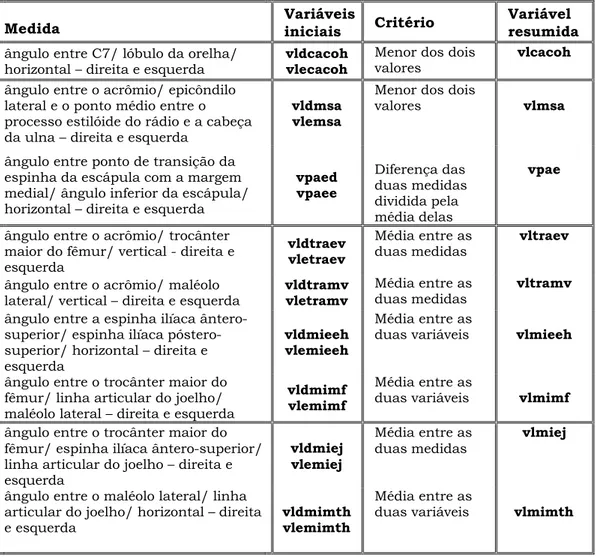 Tabela 5: Variáveis que foram agrupadas e resumidas e o critério utilizado para cada dupla