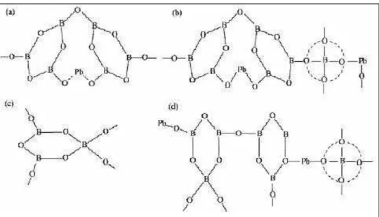 Figura 5 – Possíveis unidades  estruturais  de  vidros  B 2 O 3 -PbO  (a)  anéis  boroxol  coordenados   trigonalmente modificados por Pb 2+ ; (b) formação de bandas covalentes Pb – O – B; (c)  redes  formadas  por  pontes  entre  unidades  (BO 3 )  e  (BO