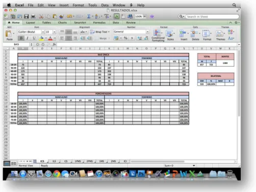 Figura 4.3 – Planilha do ICS no software Microsoft Excel 