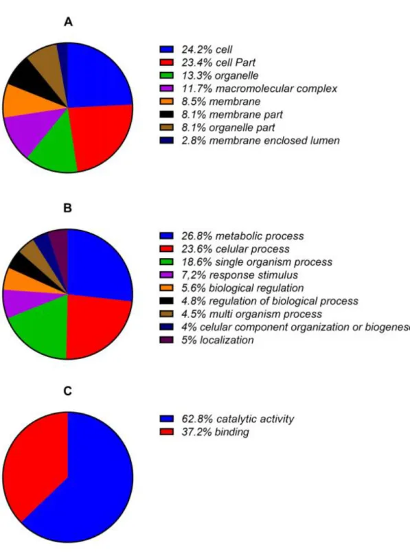 Figura  8.  Proteínas  salivares  de  T.  dimidiata  coletadas  5  dias  após  a  alimentação  sanguínea,  distribuídas  segundo  as  categorias  do  Gene  Ontology