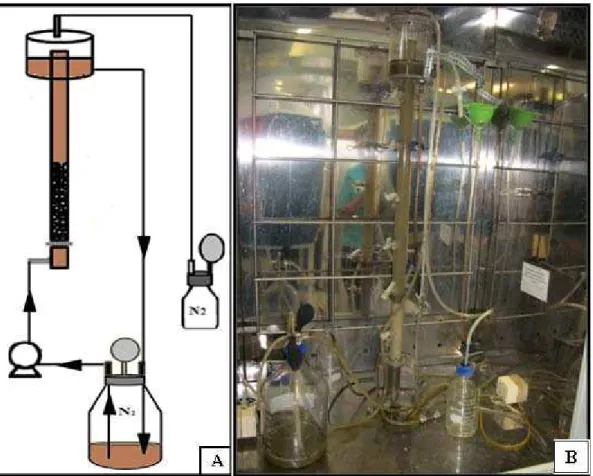 Figura 4.3: Sistema fechado na fase de fixação da biomassa. A: Desenho esquemático  B: Reator em escala de bancada 