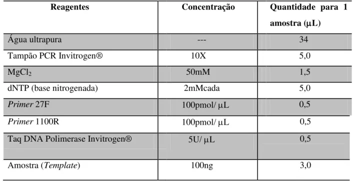Tabela 4.12: Componentes do “mix” usado na PCR 