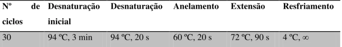 Tabela 4.14: Primers utilizados na amplificação do DNA plasmidial  Primers                                Seqüências (5’ → 3’)