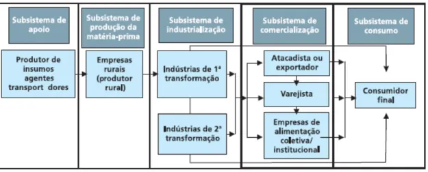 Figura 1- Estrutura da cadeia de carne bovina brasileira 