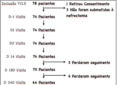 Figura 2 - Evolução do número de pacientes no estudo. 