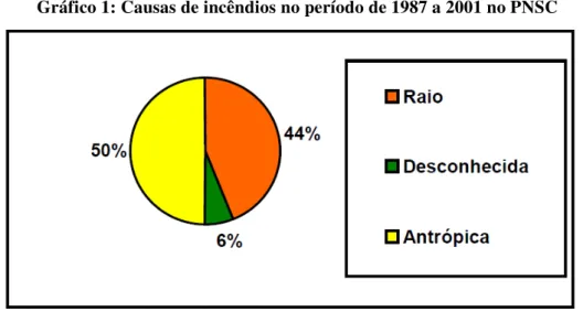 Gráfico 1: Causas de incêndios no período de 1987 a 2001 no PNSC 
