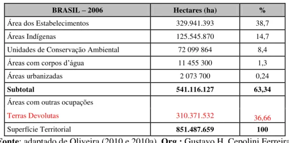 Tabela 3: Distribuição das terras brasileiras em 2006 41