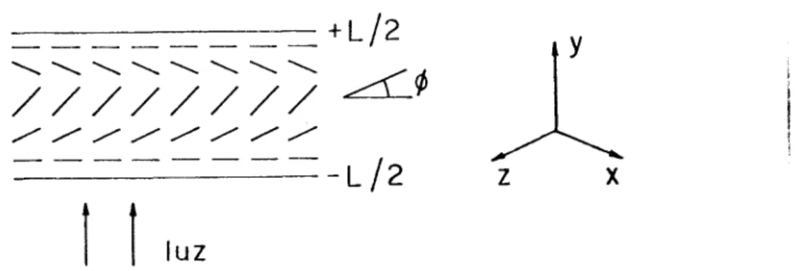 Fig. 11.6 - orientação molecular paralela à s~fície Inicialmente, temos orientação homogênea, ou seja, pa raleIa às superfícies