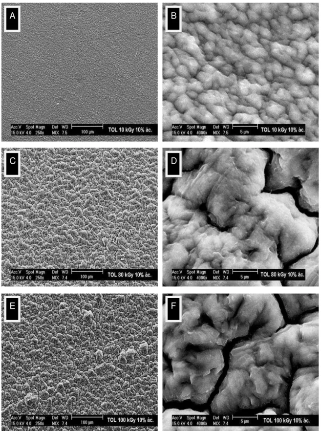 Figura 23 - Micrografias de superfícies das amostras enxertadas em solução contendo  tolueno e sulfonadas com solução a 10% de ácido clorossulfônico