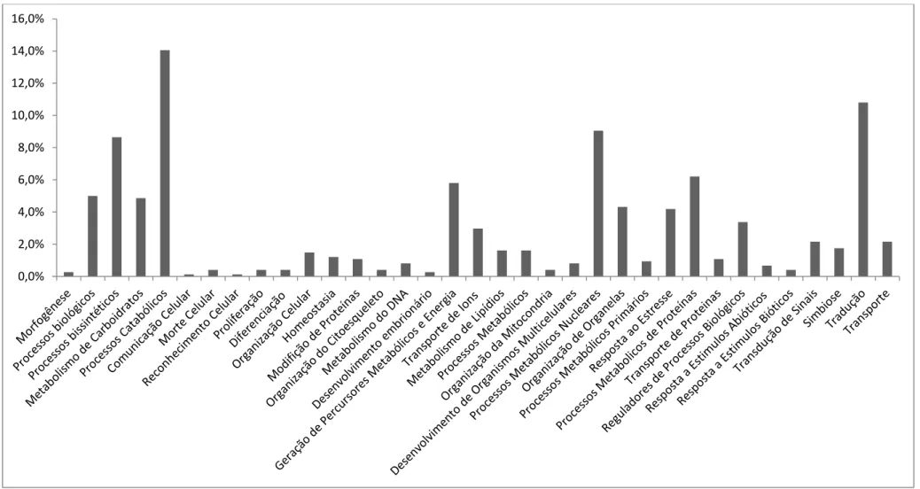 Figura 16: Gráfico da distribuição (em porcentagem) de proteínas identificadas por participação em processos biológicos  GO, obtidos através de análise de bioinformática (Blast2GO).