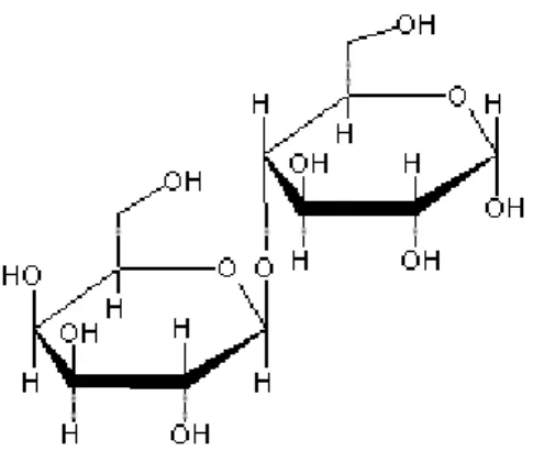 Figura 2.1 – Estrutura da Lactose  Fonte: VOET (1990)