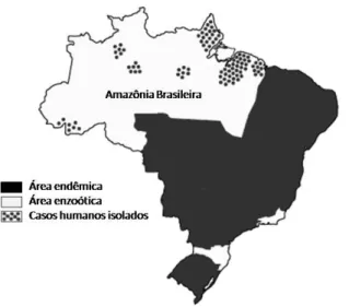 Figura 1. Distribuição geográfica da doença de Chagas no Brasil. Região enzoótica  com casos  isolados ou  pequenos  surtos  no  norte  do  país  e  área  endêmica  no  restante  do  país  com  casos  constantes  de  contaminação