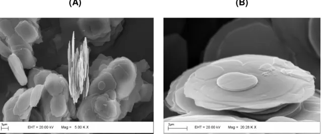 Figura 18. Microscopia eletrônica de varredura de VOPO 4 /8h em ampliações de (a)5kX  e (b)20,28kX