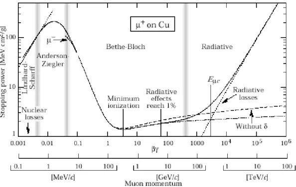 Figure 2.1.: − dE dx for µ + in Cu as a function of β γ = Mc p