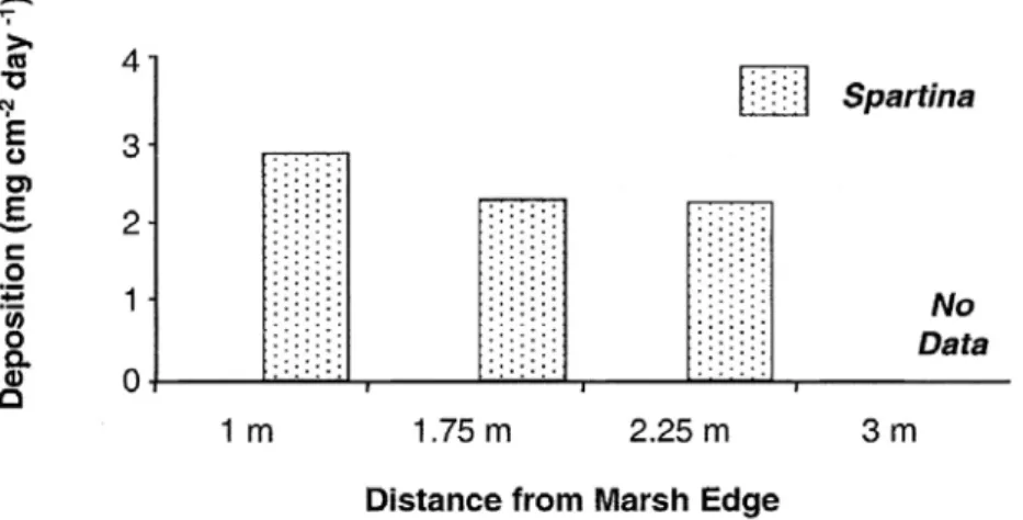 Figura 4: Média de deposição de sedimentos de acordo com a distância da borda para o interior do marisma ocupado por Spartina (adaptado de Leonard et al, 2002).